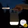 تشک بادی 2 نفره بلک داگ مدل CBD2550WS040