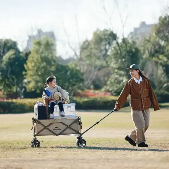 چرخ دستی تاشو نیچرهایک مدل NH19PJ001