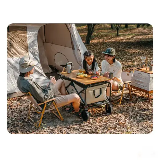 چرخ دستی تاشو نیچرهایک مدل NH19PJ001