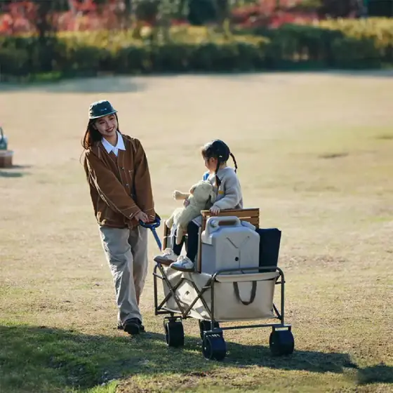 چرخ دستی تاشو نیچرهایک مدل NH19PJ001