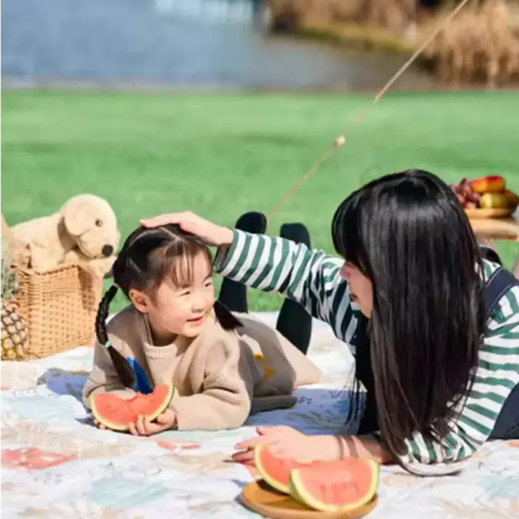 زیرانداز نشیمن نیچرهایک مدل CNH22DZ14002