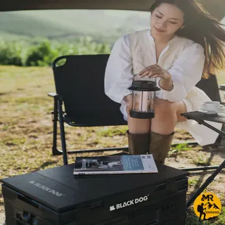 جعبه وسایل تاشو 50 لیتر بلک داگ مدل CBD2450XB014