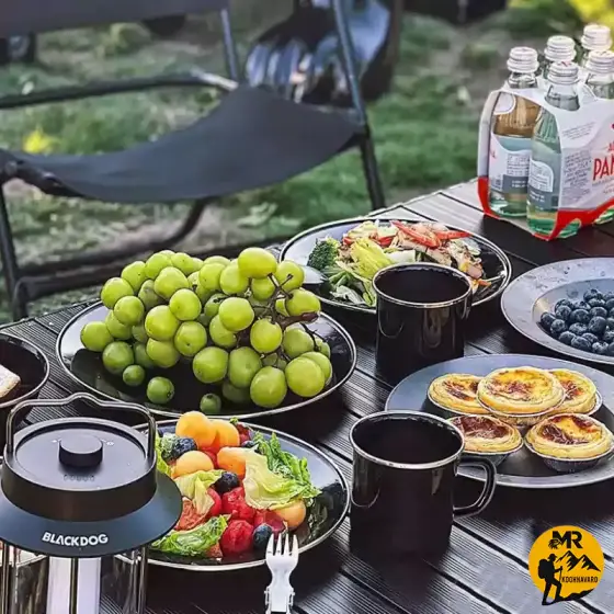 بشقاب لعابی بلک داگ مدل CBD2450CF017