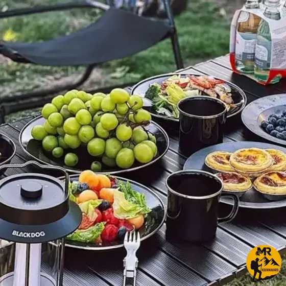 بشقاب لعابی بلک داگ مدل CBD2450CF017