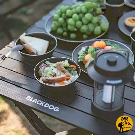 بشقاب لعابی بلک داگ مدل CBD2450CF017